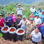 Cooperativas agrarias registran un crecimiento acumulado del 102% y ya congregan a casi 100 mil productores en el Perú